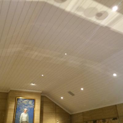 Vj Board Ceiling Before